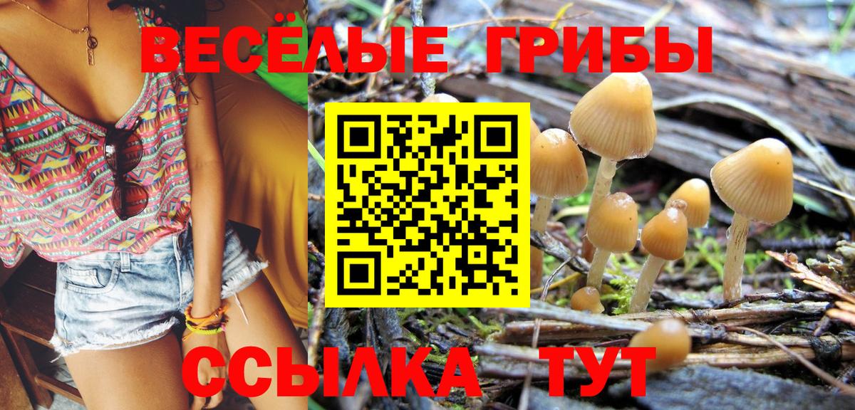Псилоцибиновые грибы MAGIC MUSHROOMS Норильск