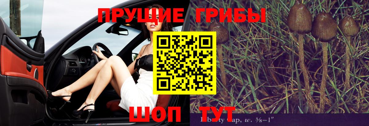 Норильск  Псилоцибиновые грибы мухоморы  Вход с VPN 